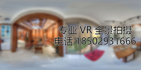 定结VR全景技术在未来可能的发展方向和应用领域?
